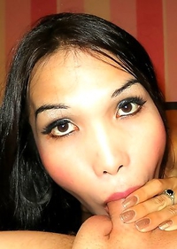 Asian Tranny Bam