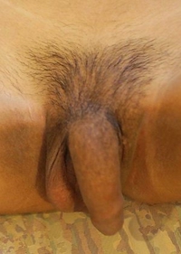 19 year old sexy and horny Thai ladyboy Noody gets a facial from white cock