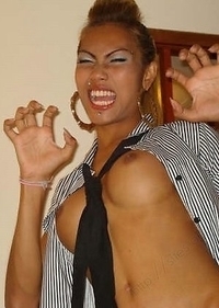 Big cock Thai tranny