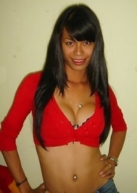 Brunette Asian ladyboys